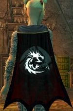 Guild Immortal Ecto Demons cape.jpg