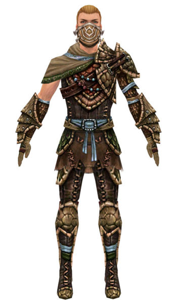 File:Ranger Luxon armor m dyed front.jpg
