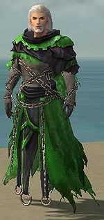 Vale Wraith costume m green front.jpg