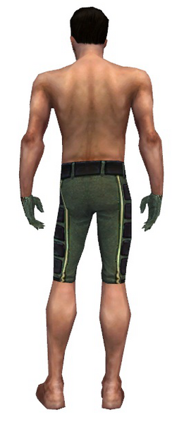File:Mesmer Canthan armor m gray back arms legs.png