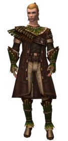 Ranger Druid armor m.jpg