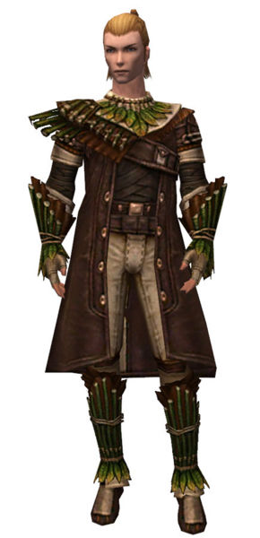 File:Ranger Druid armor m.jpg