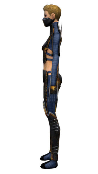 File:Assassin Exotic armor f dyed left.jpg
