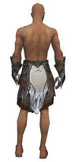 Paragon Norn armor m gray back arms legs.png