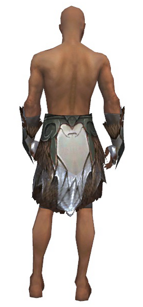File:Paragon Norn armor m gray back arms legs.png