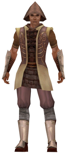 File:Canthan merchant in Tyria.jpg