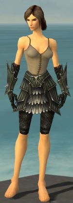 Warrior Wyvern armor f gray front arms legs.jpg
