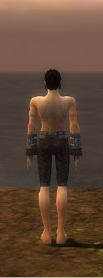 Elementalist Vabbian armor m gray back arms legs.jpg