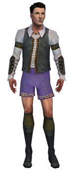 Mesmer Ascalon armor m gray front chest feet.png