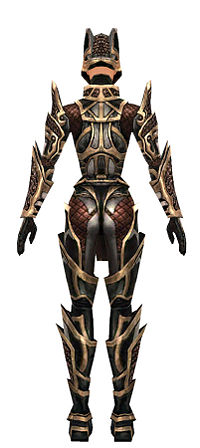Warrior Elite Kurzick armor f dyed back.jpg