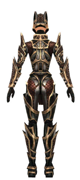 File:Warrior Elite Kurzick armor f dyed back.jpg