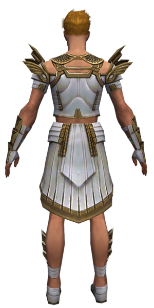 File:Paragon Ancient armor m dyed back.png