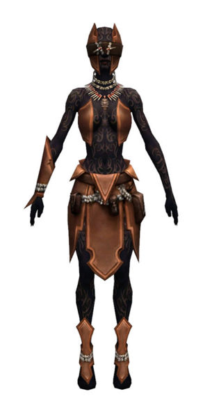 File:Ritualist Kurzick armor f dyed front.jpg