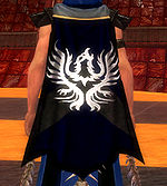 Guild Dark Pheonix Risin cape.jpg