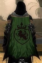 Guild Knights Templer Of Rin cape.jpg