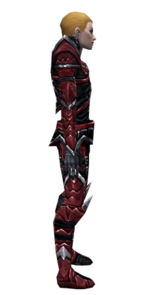 Necromancer Elite Profane armor m dyed right.jpg