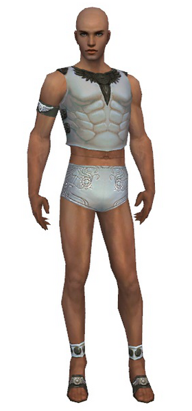 File:Paragon Istani armor m gray front chest feet.png