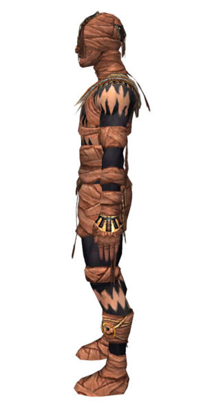 File:Ritualist Ancient armor m dyed left.jpg