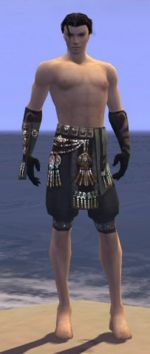 Ritualist Elite Luxon armor m gray front arms legs.jpg