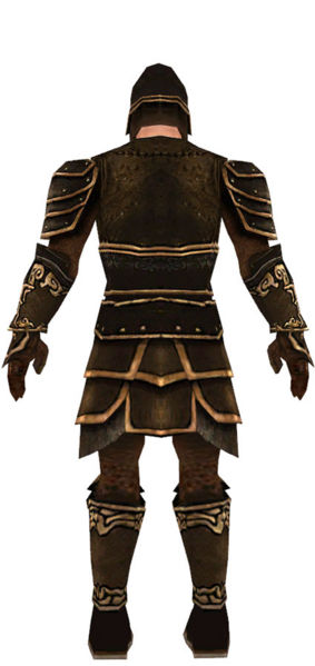 File:Warrior Shing Jea armor m dyed back.jpg
