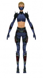 Assassin Seitung armor f dyed front.jpg