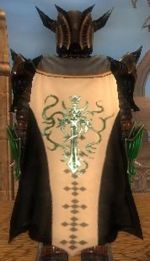 Guild The Kydor Kings cape.jpg