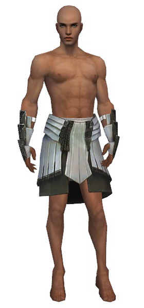File:Paragon Ancient armor m gray front arms legs.png