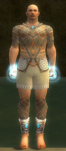 Monk Labyrinthine armor m gray front chest feet.jpg