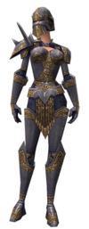 Warrior Platemail armor f.jpg