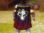 Guild The Dark Mantles cape.jpg