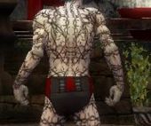 Necromancer Elite Scar Pattern armor m gray back chest feet.jpg