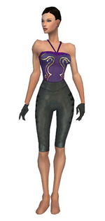 Mesmer Rogue armor f gray front arms legs.png