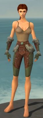 Ranger Fur-Lined armor f gray front arms legs.jpg
