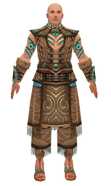 File:Monk Elite Luxon armor m dyed front.jpg