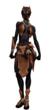 Ritualist Kurzick armor f.jpg