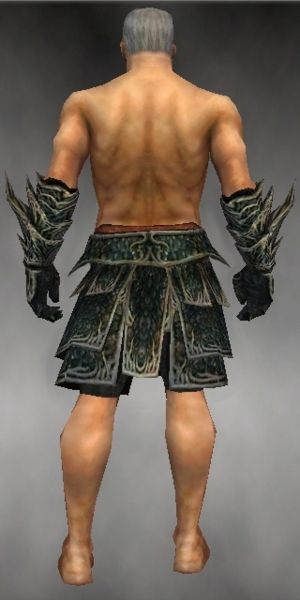 File:Warrior Elite Luxon armor m gray back arms legs.jpg