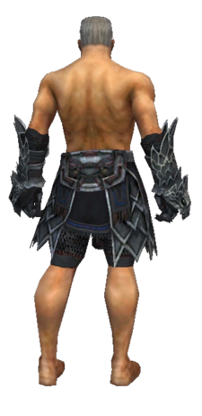 Gallery of male warrior Silver Eagle armor - Guild Wars Wiki (GWW)
