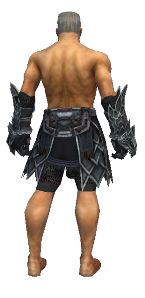 File:Warrior Silver Eagle armor m gray back arms legs.png