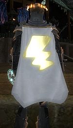 Guild Get Your Lightning Shield Its cape.jpg