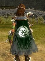 Guild The Mystic Tokers cape.jpg