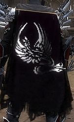 Guild The Raven Revival cape.jpg