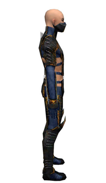 File:Assassin Exotic armor m dyed right.jpg