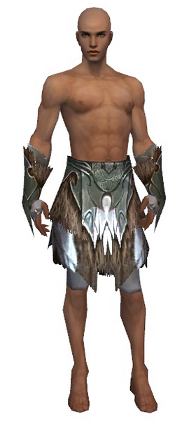File:Paragon Norn armor m gray front arms legs.png