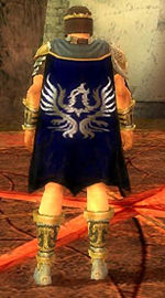 Guild The Blade Of The Silver Phoenix cape.jpg
