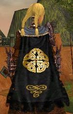 Guild Tuath De Danann cape.jpg