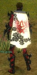Guild The Legion Of The Red Aguila cape.jpg