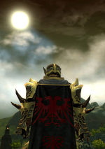 Guild The Ninth Legion cape.jpg