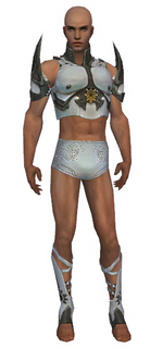 Paragon Sunspear armor m gray front chest feet.png