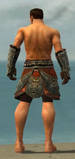 Warrior Elite Canthan armor m gray back arms legs.jpg