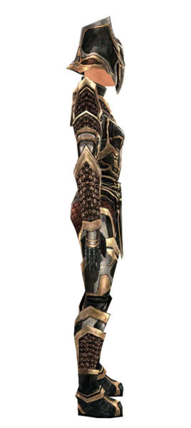 File:Warrior Elite Kurzick armor f dyed right.jpg